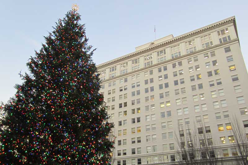 The Christmas Tree in Pioneer Square.